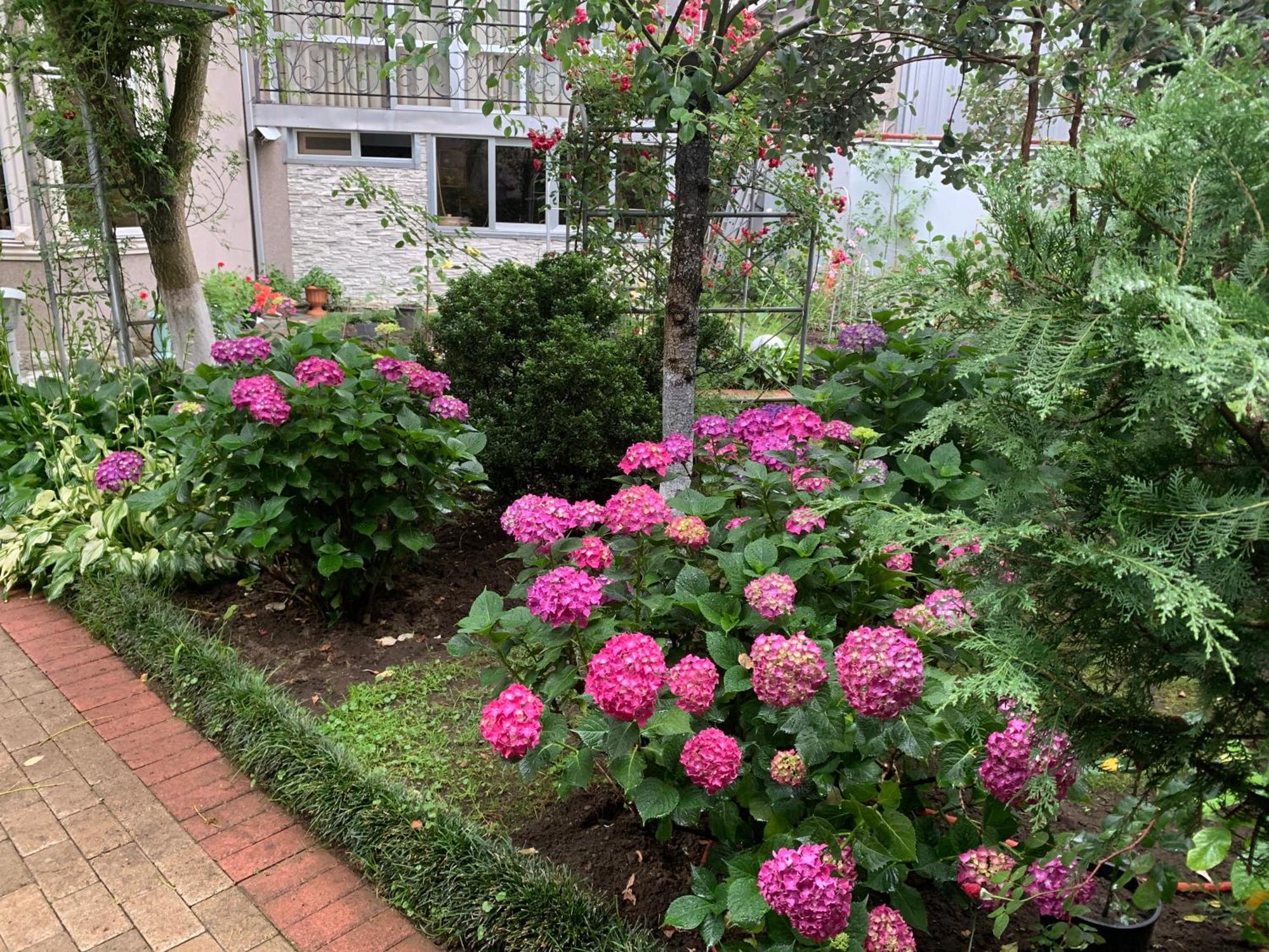 Guest House Smile Kobuleti Exterior foto