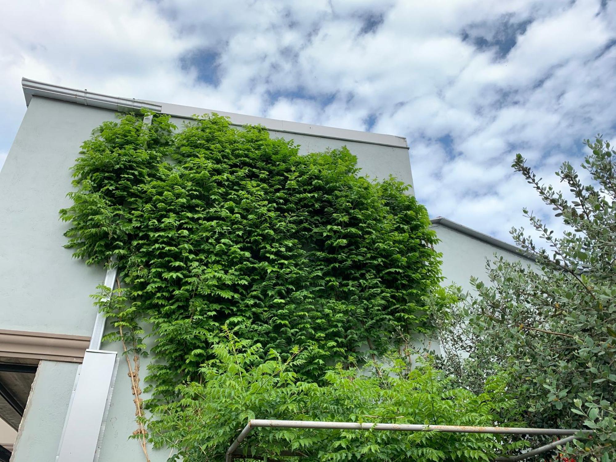 Guest House Smile Kobuleti Exterior foto